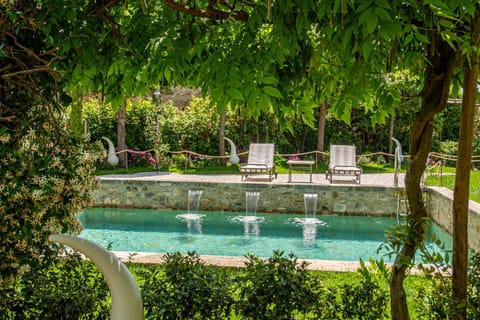 Garden, Pool view, Swimming pool