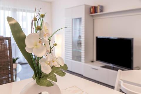 Heidis Dihei Apartment in Schaffhausen