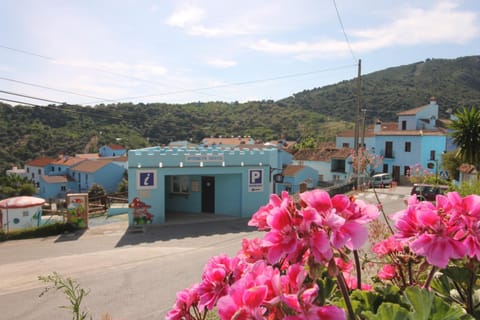 Spring, Off site, Day, Neighbourhood, Natural landscape