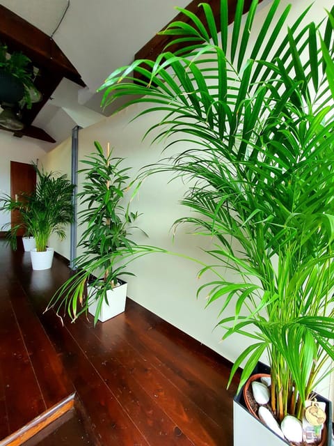 Suite Loft Apartment in Krakow