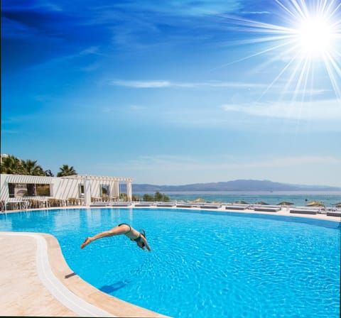 Pool view, Swimming pool