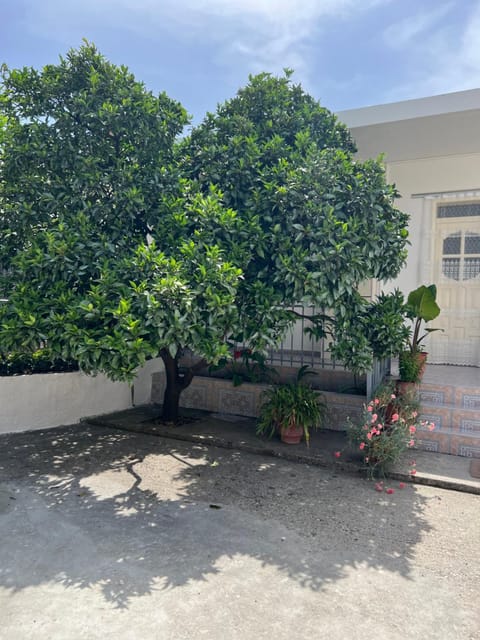 Rooms for rent habipi Bed and Breakfast in Vlorë