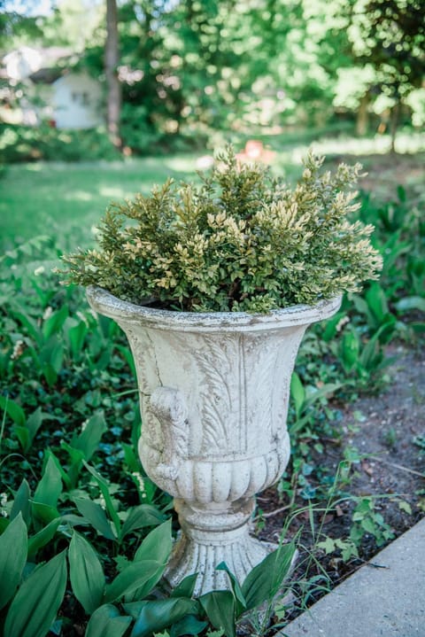 Bridgewalk Estate a Wanderlust Abodes property House in Central Lake