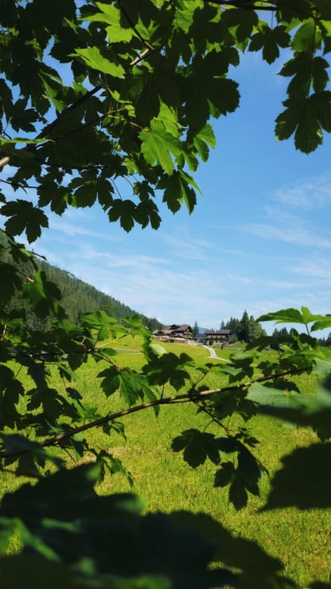 Property building, Spring, Natural landscape, Summer, Autumn, Mountain view