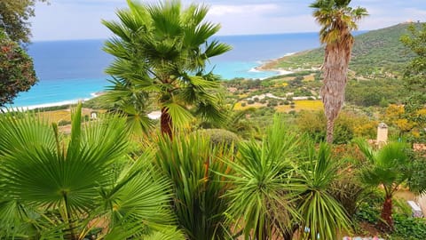 Natural landscape, Sea view