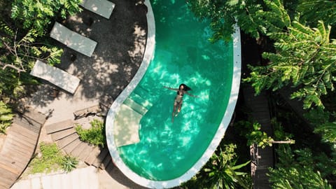 Spring, Day, Natural landscape, Garden, Garden view, Pool view, Swimming pool