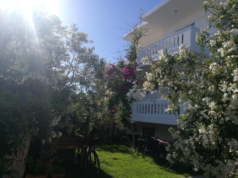 Property building, Spring, Day, Garden, Garden view