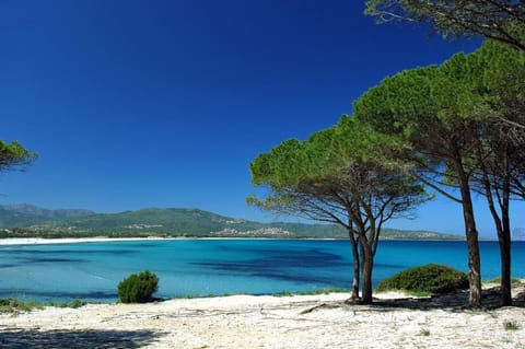 Camping Village Pedra e Cupa Campground/ 
RV Resort in Budoni