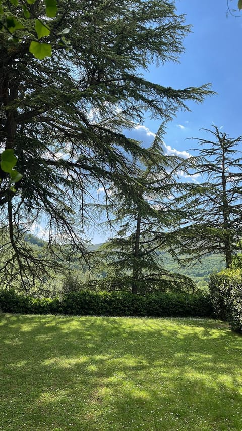 Tenuta Di San Giusto in Salcio Vacation rental in Radda in Chianti