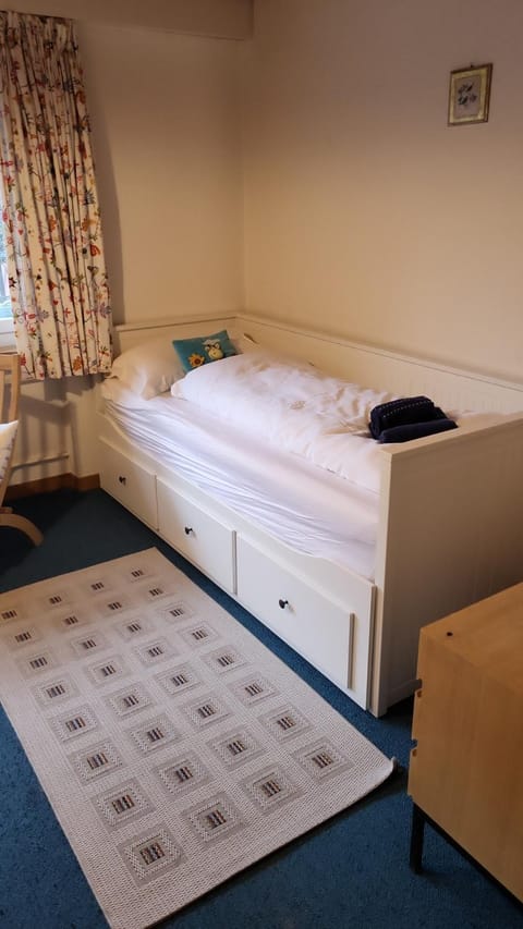 Chalet Caroline Apartment in Grindelwald