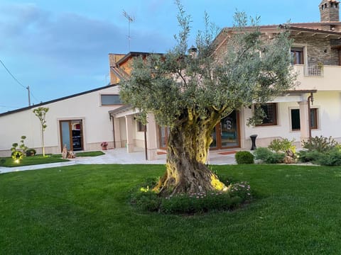 Property building, Garden