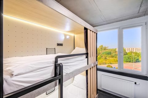 Bed, Photo of the whole room, bunk bed, furniture