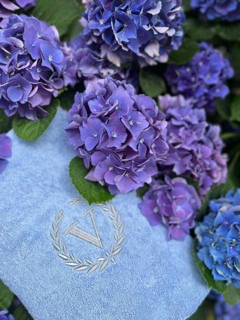 Vidikovac Budva Apartment in Budva