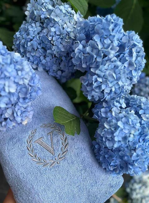 Vidikovac Budva Apartment in Budva