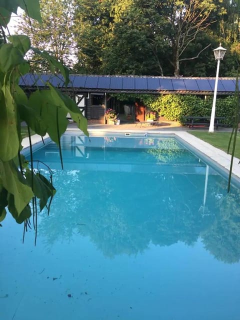 Day, Pool view, Swimming pool