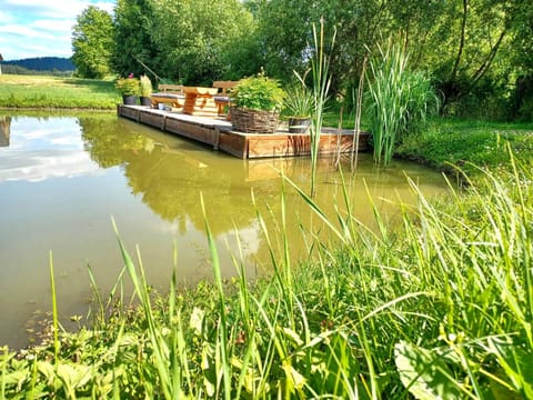 Summer, Fishing, Fishing, Garden, View (from property/room), Garden view