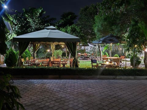 Night, Garden