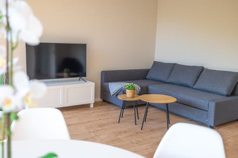 TV and multimedia, Living room, Photo of the whole room, Seating area