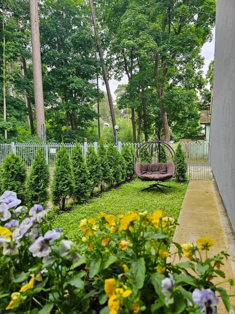 Natural landscape, Garden, Garden view