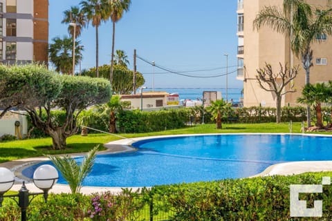 Garden, Swimming pool