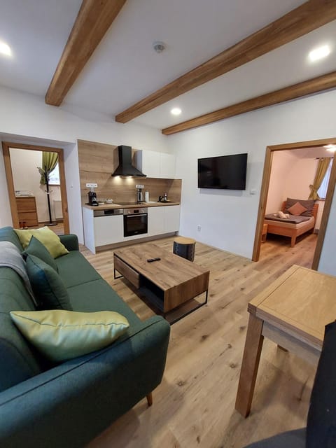 Communal lounge/ TV room, TV and multimedia, Kitchen or kitchenette, Living room, Seating area, Dining area