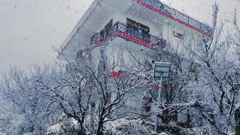 Winter