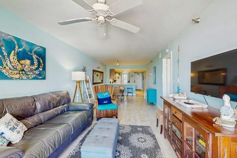 Hamilton House 206 House in Indian Rocks Beach