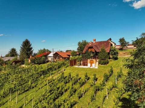 Property building, Spring, Day, Natural landscape, Garden, Garden view