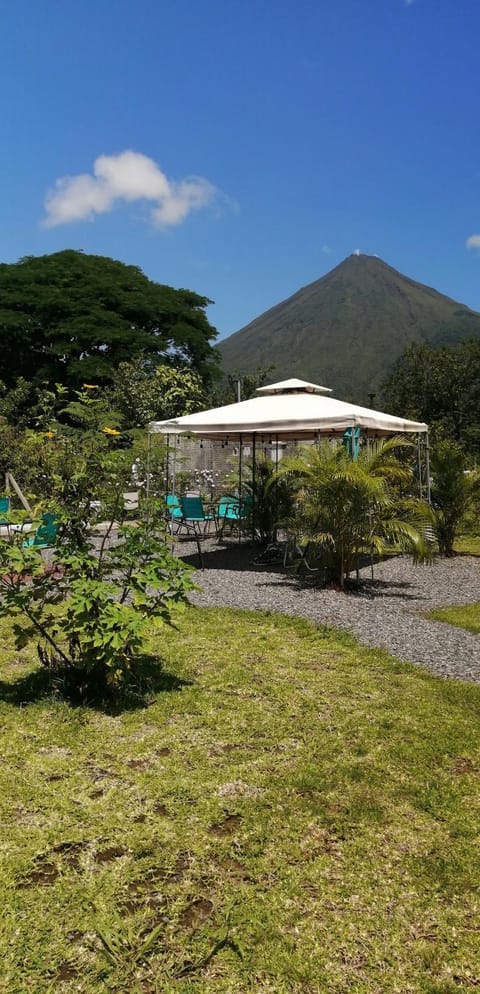 Natural landscape, Garden