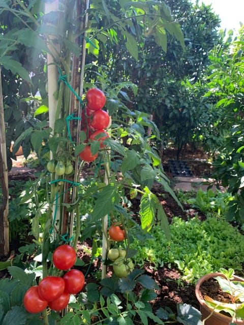 Romantic room for two persons Bed and Breakfast in Poreč