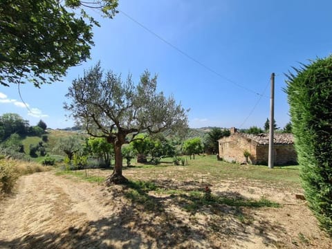 La Casetta in Collina - a pochi Km dal mare (Pe) House in Abruzzo