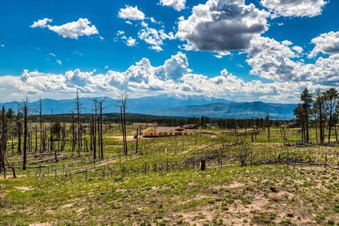 Private Mountain Cabin! King Bed 8 Acres Game Rm Cabin in Black Forest