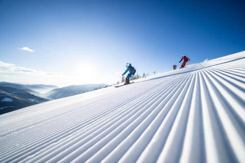 Natural landscape, Activities, Winter, Skiing, Family, Family