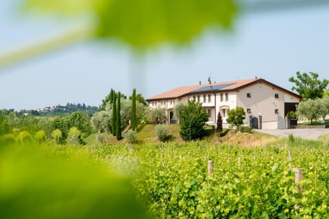 Property building, Spring, Day, Natural landscape, Garden, View (from property/room), Garden view