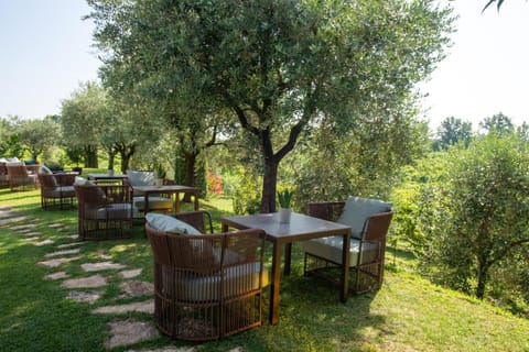 Natural landscape, Garden, Garden view