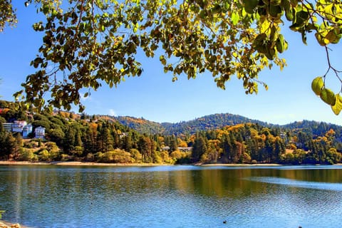 Serene Cabin Cabin in Lake Arrowhead