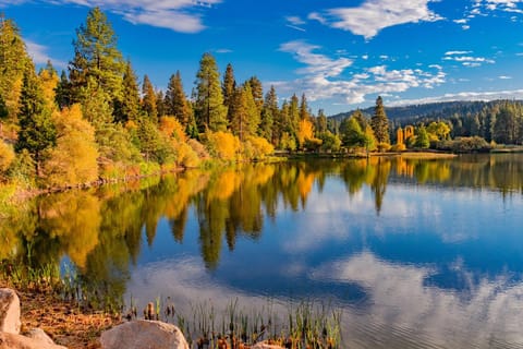 Serene Cabin Cabin in Lake Arrowhead