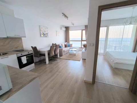 Kitchen or kitchenette, Living room, Photo of the whole room, Seating area, stove, kitchen