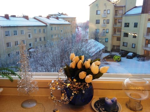 View (from property/room)