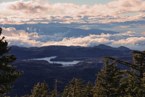 Tree-Top Getaway House in Lake Arrowhead