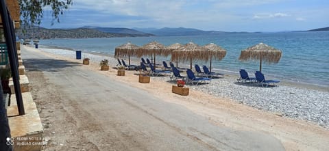 Natural landscape, Beach, sunbed