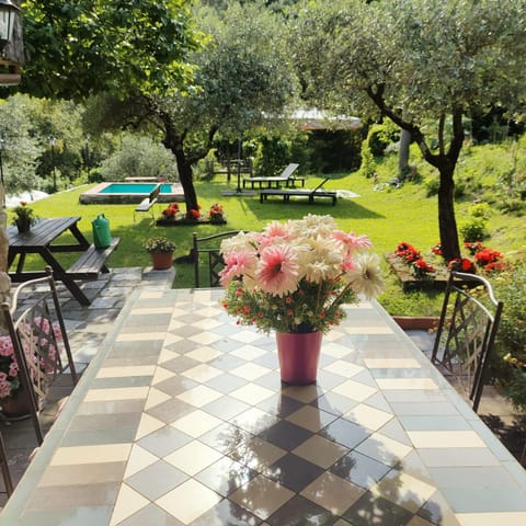 Property building, Patio, Garden, Garden view, Pool view