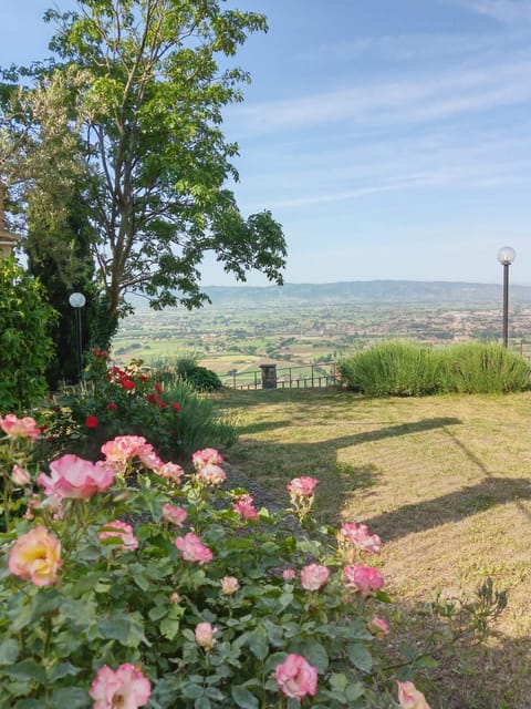 Natural landscape, Garden