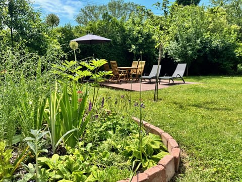 Patio, Garden, Garden view