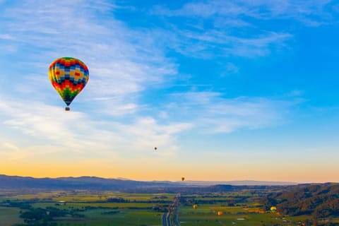Sonoma Vista Dreams House in Boyes Hot Springs