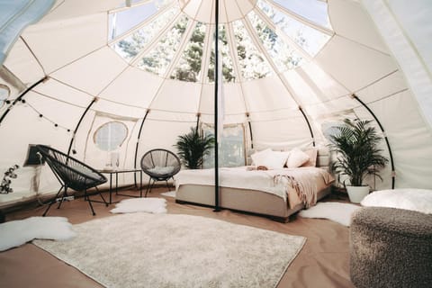 Bed, Seating area, Bedroom
