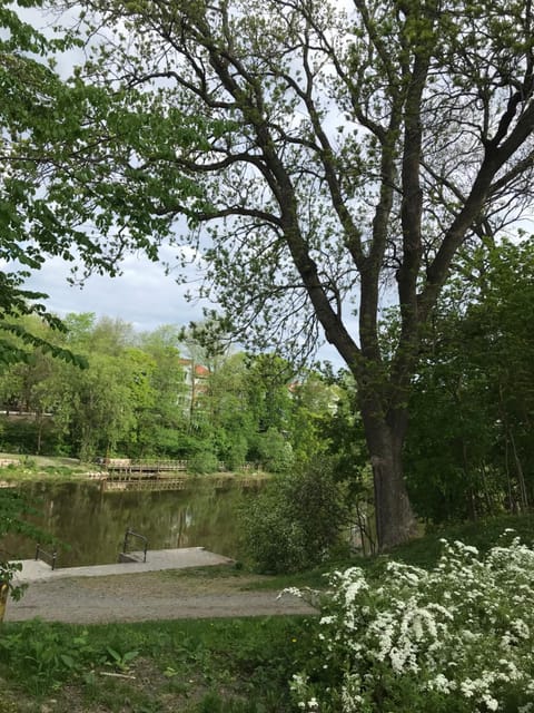 Natural landscape, Beach