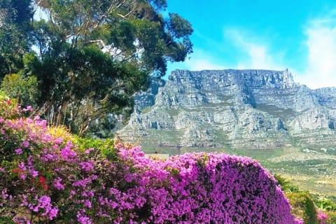 Disa Park Studio with Mountain Views Apartment in Cape Town