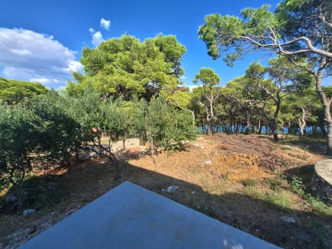 Garden, Balcony/Terrace, Garden view