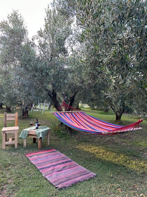 Day, Natural landscape, Garden